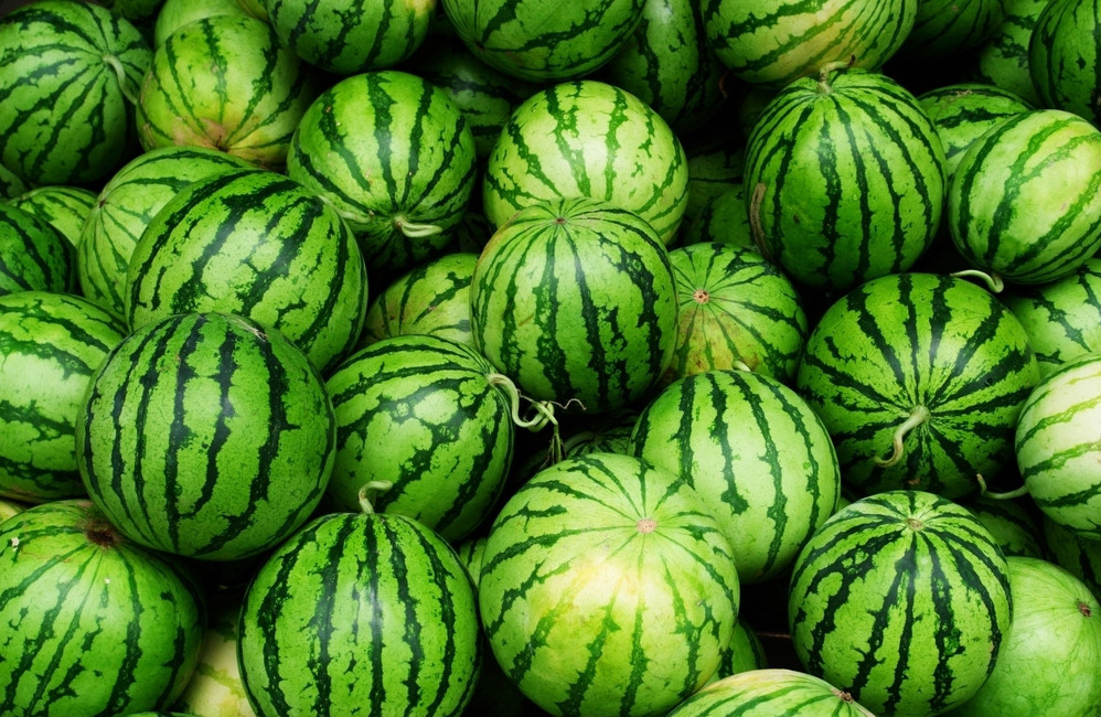 山东淄博：西瓜价格大幅下跌