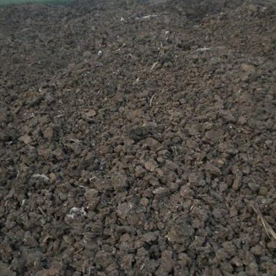 鸡粪、牛粪、猪粪、羊粪，到底哪个更适合当肥料！