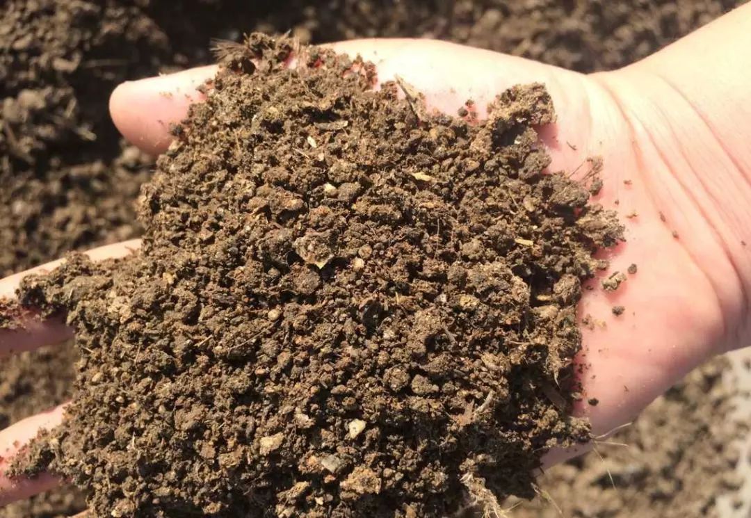 首次调整！有机肥替代化肥行动试点作物扩大
