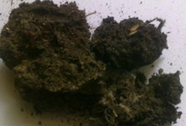 未来7年生物肥料将爆发增长！