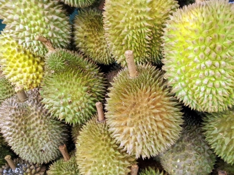 广西海关销毁超18吨走私榴莲将被做成有机肥