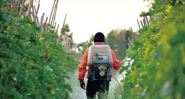 为何生物农药推广应用如此艰难！出路在哪？