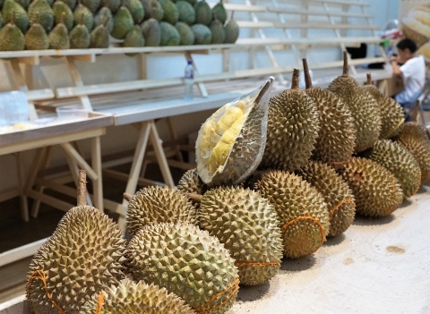 榴莲行业市场及产业发展研究