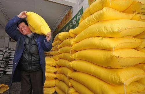 化肥价格强势上涨，近年罕见！真正原因何在？