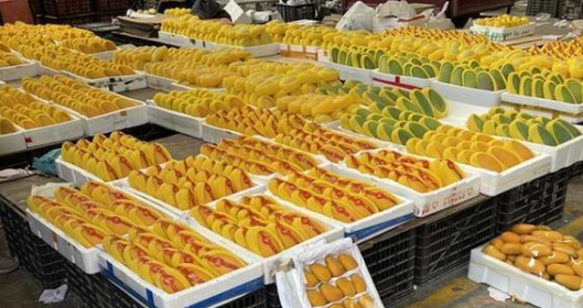 芒果供应增加 价格小幅“缩水”