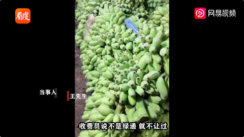 苹果蕉走绿通被拒，收费站退款了