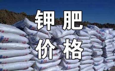 钾肥：价格回调，后市怎么操作