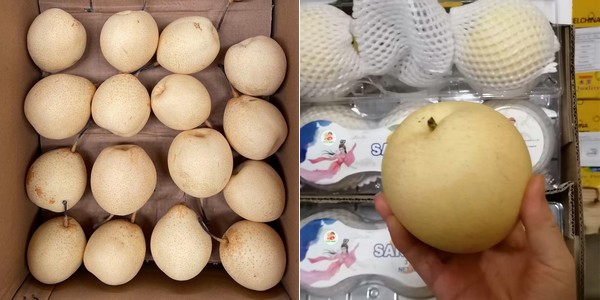 海运费用上涨限制了本季鲜梨的出口优势