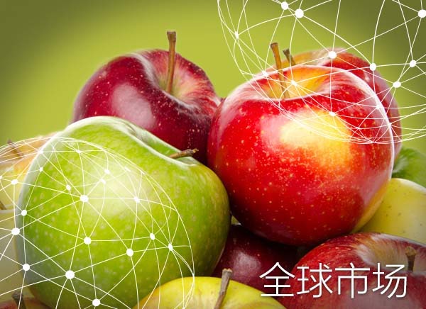 全球市场报告：苹果