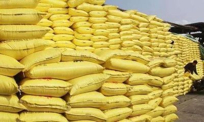 尿素价格全面上涨，后市如何？