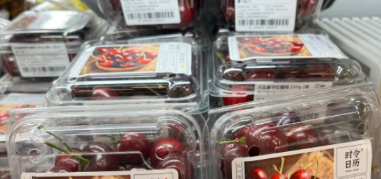 国产樱桃初上市身价不菲