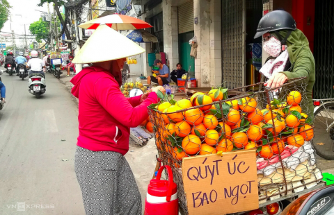 温州柑橘变身越产澳柑，物美价廉走红越南市场