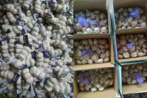 “新蒜季价格持续上涨且波动频繁”